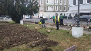 Se plantează copaci