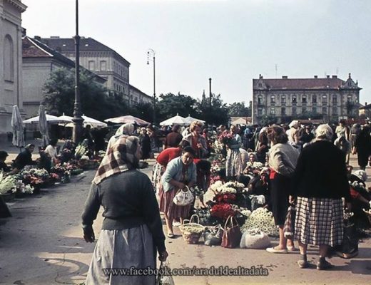 Aradul de altădată