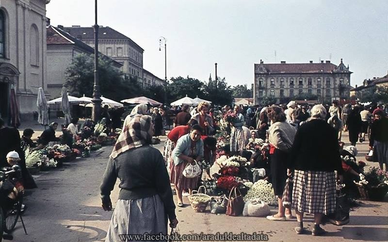 Aradul de altădată